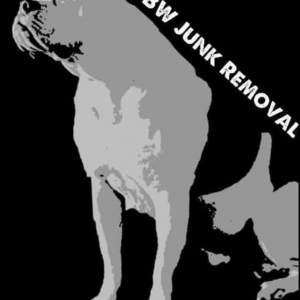Photo of BW Junk Removal