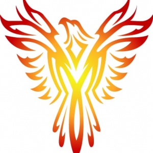 Photo of Phoenix Sliding Doors