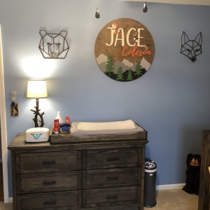 Photo of Carolina Custom Solutions