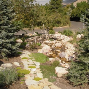 Photo of Alder Landscaping
