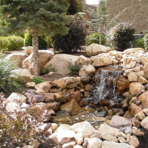 Photo of Alder Landscaping