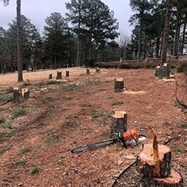 Photo of Dylan Tree Service
