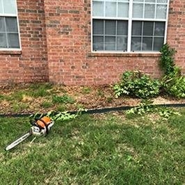 Photo of Dylan Tree Service