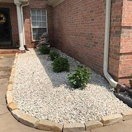 Photo of Dylan Tree Service