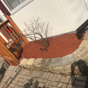 Batavia Dorado's Landscaping Service