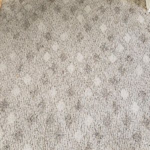 Photo of Dry-Max Carpet Care