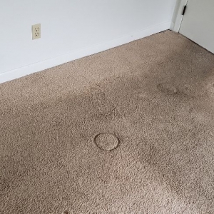 Photo of Dry-Max Carpet Care
