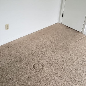 Photo of Dry-Max Carpet Care