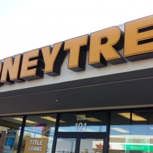 Photo of Moneytree