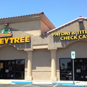Photo of Moneytree