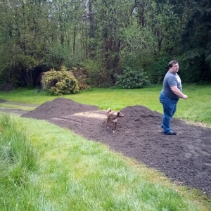 Photo of Purdy Topsoil & Gravel