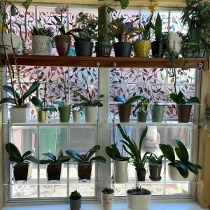 Photo of The Riverwalk Workshop