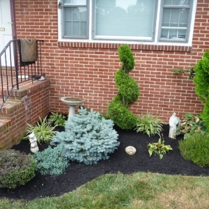 Photo of 4 Seasons Landscaping Services