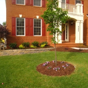 Photo of 4 Seasons Landscaping Services