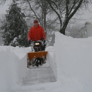 Photo of 4 Seasons Landscaping Services
