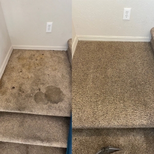 Photo of Best Clean Carpet, Tile, and Upholstery