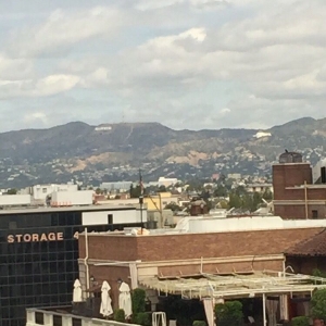 Photo of Law Offices of David M. Paz Soldan