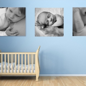 Photo of Steel Magnolia Metal Art