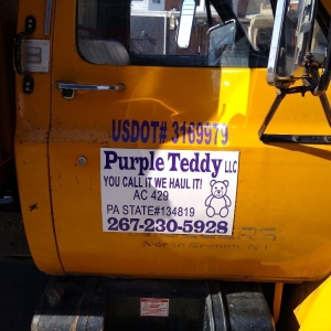 Philadelphia Purple Teddy