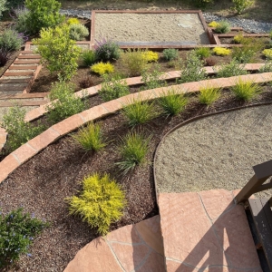 Photo of Forevergreen Landscape