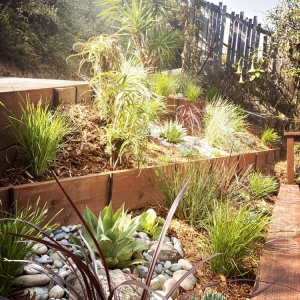 Photo of Forevergreen Landscape