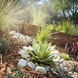 Photo of Forevergreen Landscape