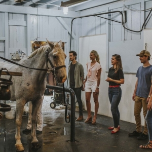 Goshen Hermitage Farm