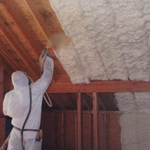 Photo of The Home Insulators - Pearl River