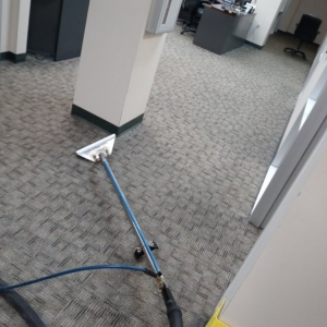 Photo of The Carpet Medic