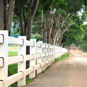 Photo of Professional Fence Alpharetta