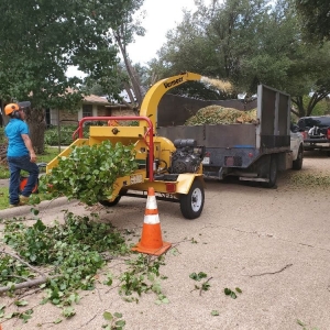 Photo of Rudy's Tree Service