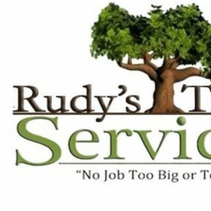 Photo of Rudy's Tree Service