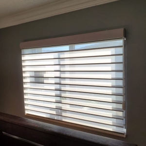 Photo of Artec Blinds