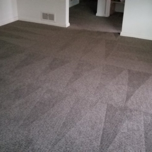 Photo of Benchmark Carpet Cleaning