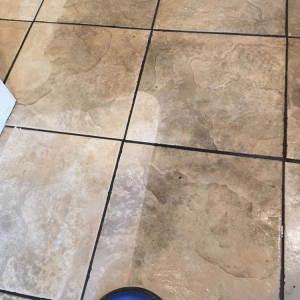 Photo of Benchmark Carpet Cleaning