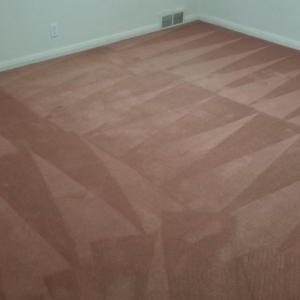Photo of Benchmark Carpet Cleaning
