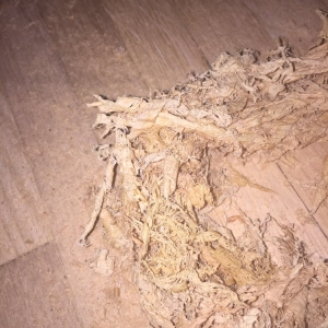 Concord Elite Hardwood Floors - Kenneth Freeman