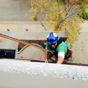 Photo of Green Window Cleaning Services