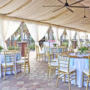 Photo of Mugwump Productions