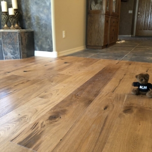 Photo of Bare Floors