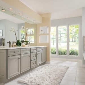 Photo of Cabinets etc