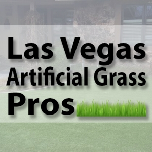 Photo of Las Vegas Artificial Grass Pros