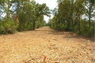 Photo of Lone Star Land Enhancement