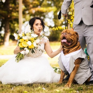 Photo of Flowers and Events by Dani