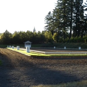 Photo of DevonWood Equestrian Centre