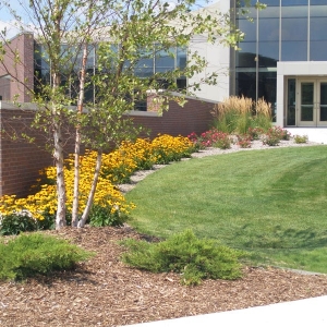 Photo of Classic Lawn & Landscape