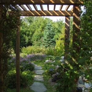 Photo of Soilvation Landscaping