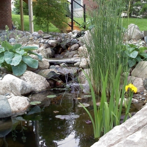 Photo of Soilvation Landscaping