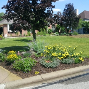 Photo of Soilvation Landscaping