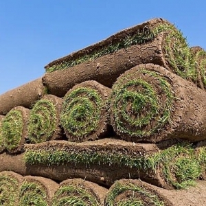 Photo of Texas Groundskeepers